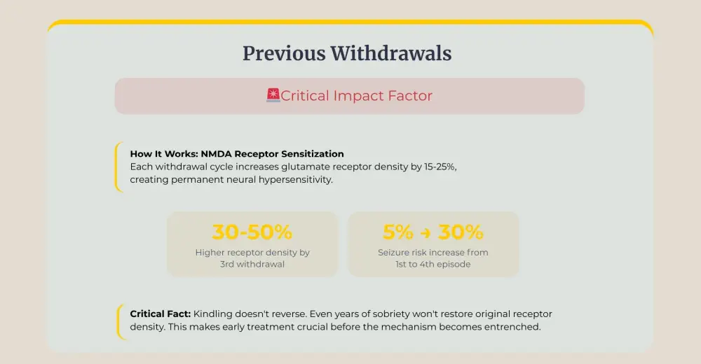 Permanent neural hypersensitivity and increased seizure risk from kindling.