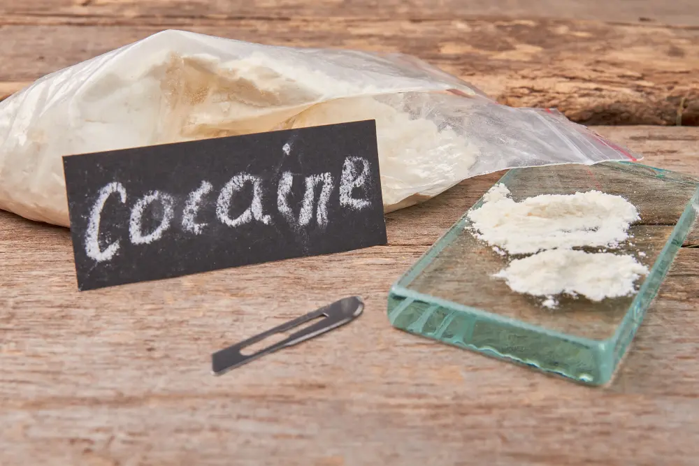 cocaine-leads-to-speed-death-2023-11-27-04-50-10-utc Cocaine Effects: What Does Cocaine Do To Your Mind and Body?