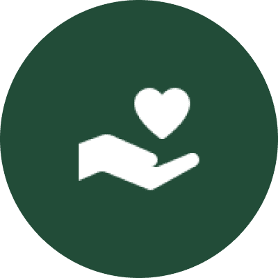 Health and Lifestyle