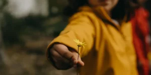 Dialectical vs Cognitive Behavioural Therapy