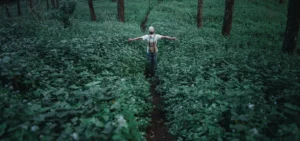 What Are the Real Risks of Adderall Side Effects?