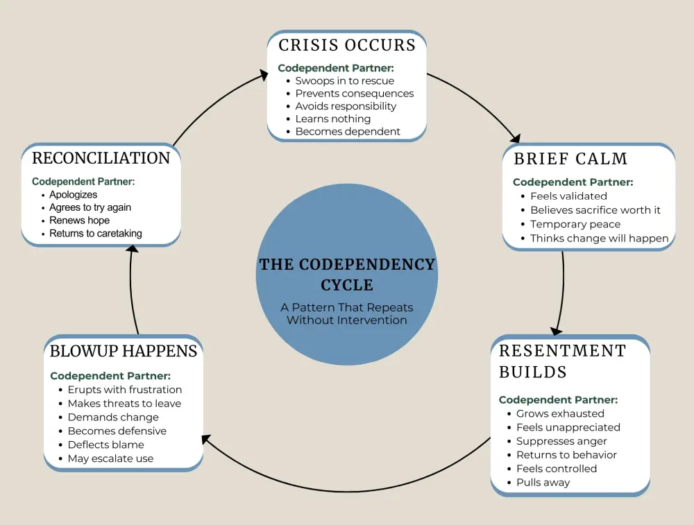 The cycle perpetuates itself through predictable stages