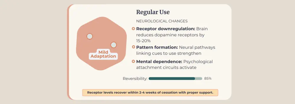 Mild brain adaptation and receptor downregulation.
