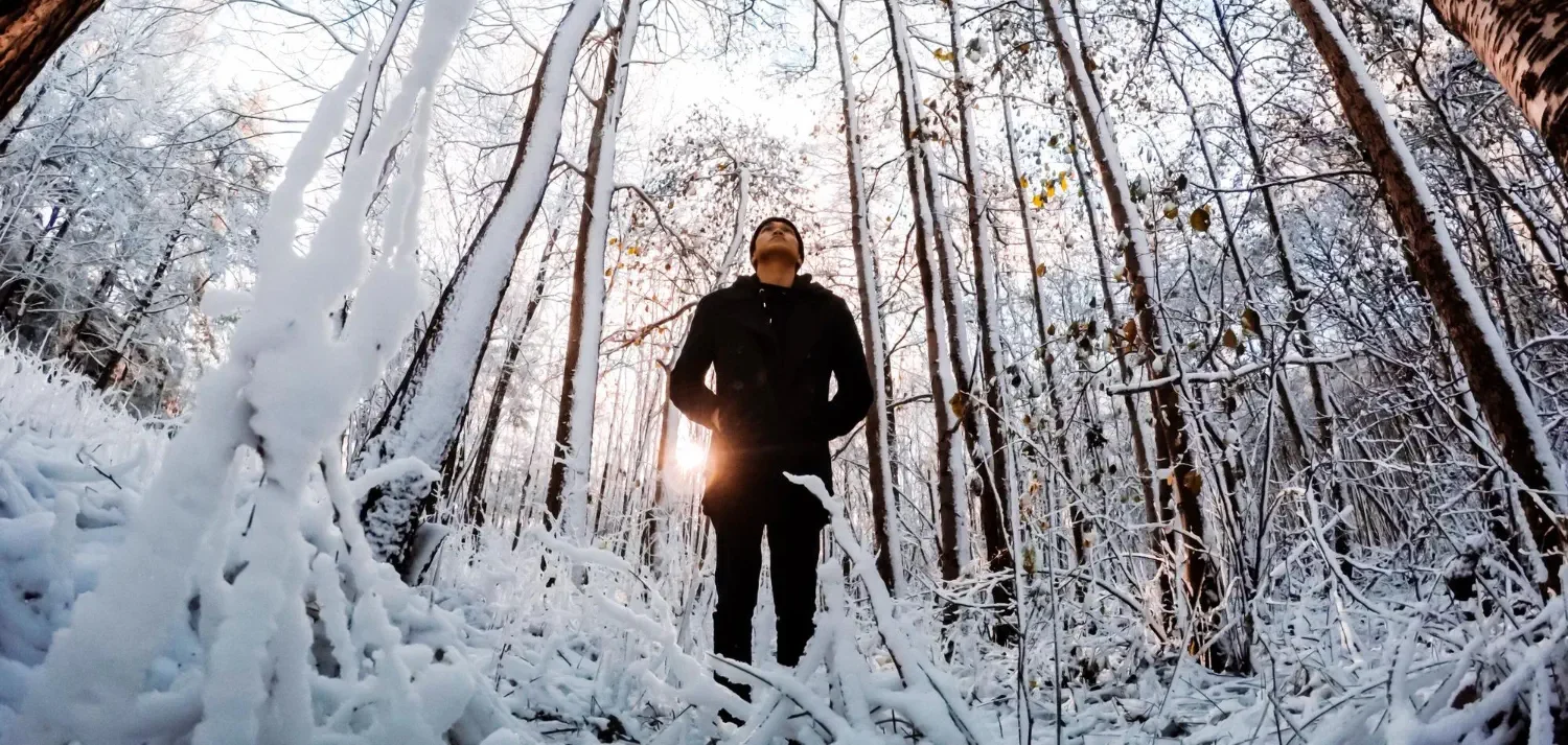 Quaaludes Effect on Body and Brain