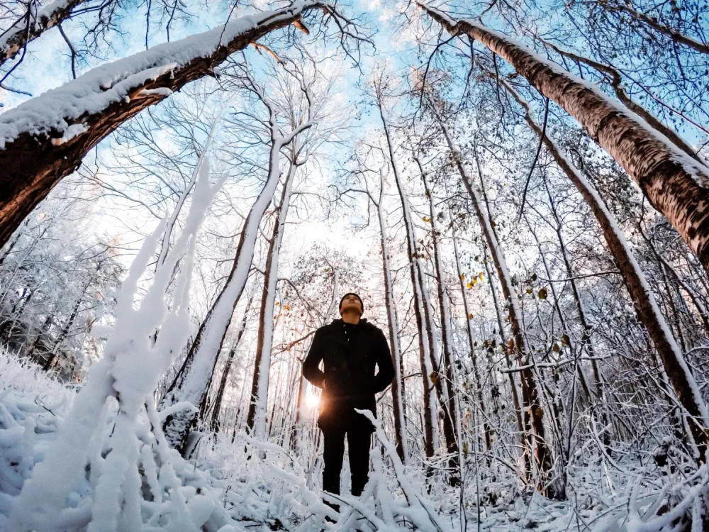 Quaaludes Effect on Body and Brain