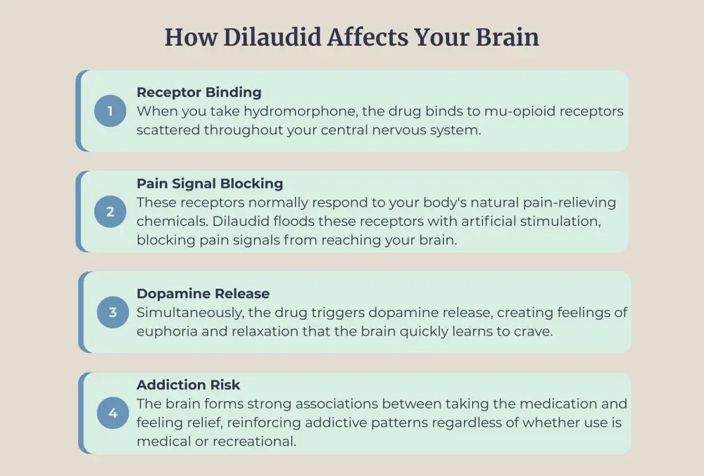 dilaudid addiction