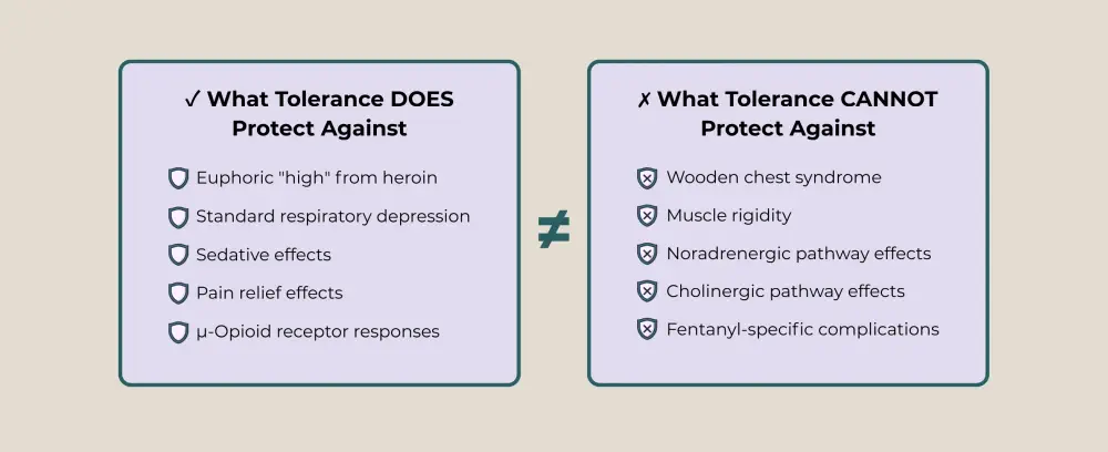 Two-panel list showing what opioid tolerance does and does not protect against.