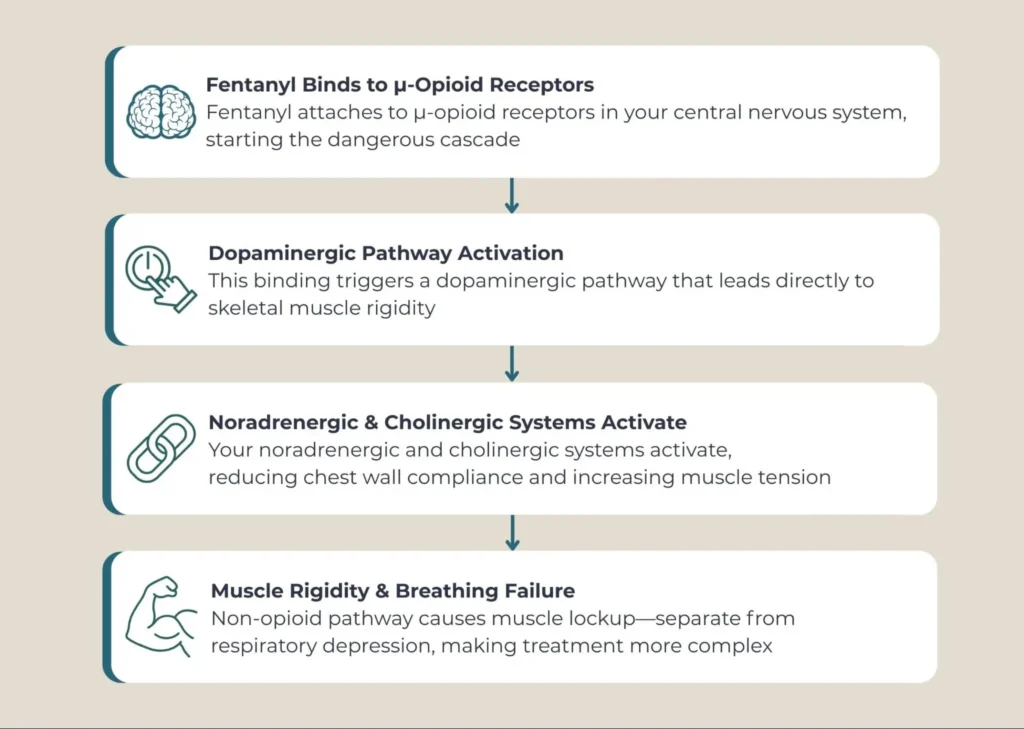 Flowchart detailing the biological cascade from fentanyl to breathing failure.