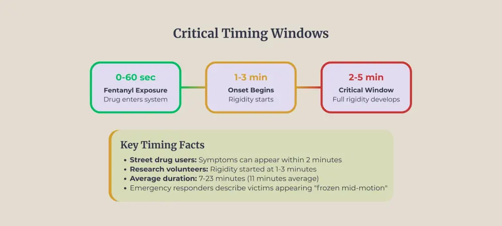 Timeline showing three stages of fentanyl onset and key timing facts.